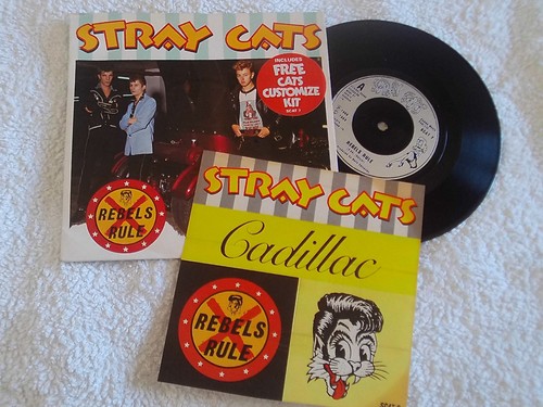 Stray cats rebels - stray, cats=rebels