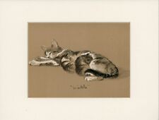 WINKLE SLEEPING LOVELY ORIGINAL OLD 1946 CAT ART PRINT BY LUCY DAWSON  MOUNTED