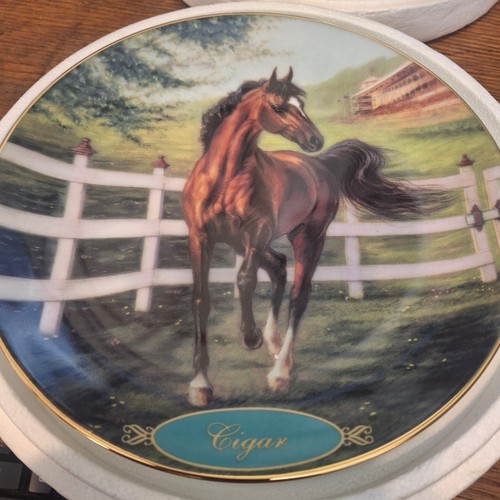 Danbury mint race - danbury,