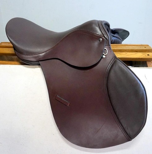 Oil brown horse - oil,