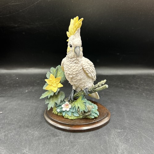 Country artisit crowing glory - country,