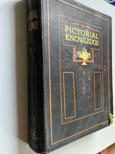 Newness pictorial knowledge - pictorial,