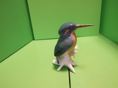 Karl ens kingfisher bird - karl,