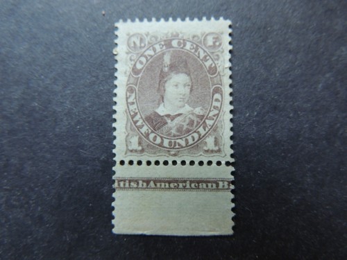 1880 newfoundland dull - 1880-82,