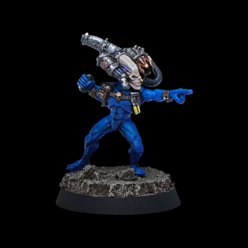 Well painted culexus assassin - culexus,
