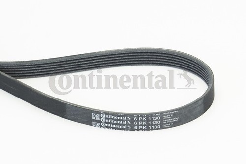 Continental ctam 6pk1130 - continental,
