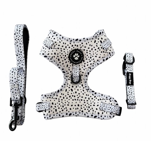 Dog harness collar and lead - dog, harness,