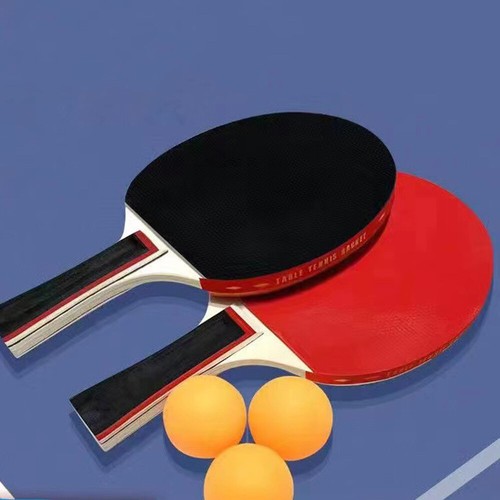 Professional table tennis - professional,