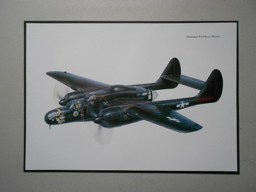 Military aviation print - aviation,