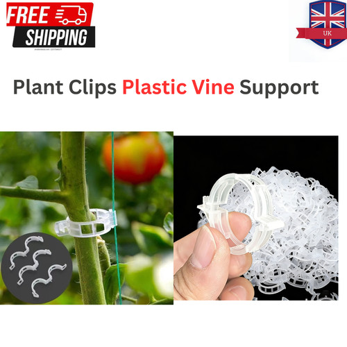 100x clip tomato - 100x,