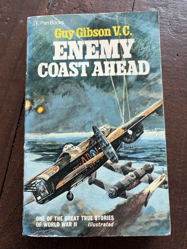 Enemy coast ahead - ahead, guy