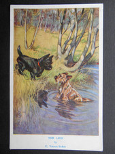 Artist C VERNON STOKES