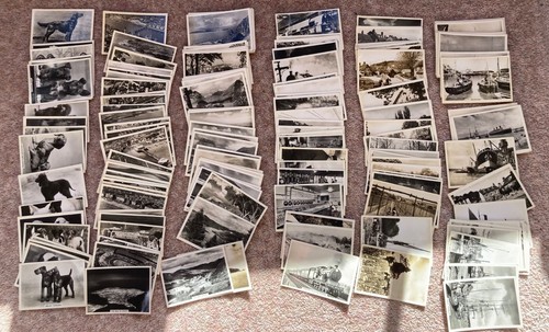 Senior service cigarette cards - senior,