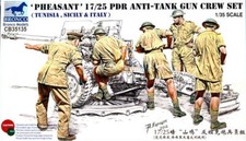 Bronco Model kit 1/35 Pheasant