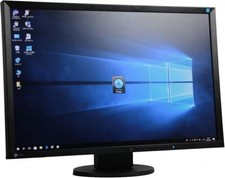 EIZO EV2436W 24" LED Monitor - Used, Without Stand, DVI, DisplayPort, VGA - A Gr