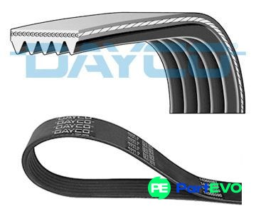 Dayco ribbed belt - dayco, 5pk935