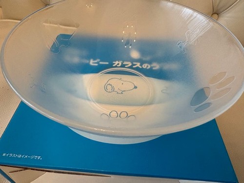 Snoopy glass bowl lawson - snoopy,