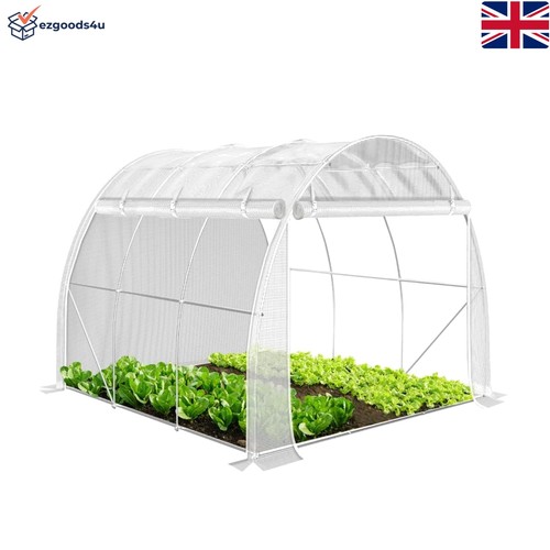 Large white walk greenhouse - large, walk-in