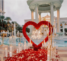 XXL Wedding Arch Flowers Balloon Decor Rack Heart Shaped Background Frame Metal 