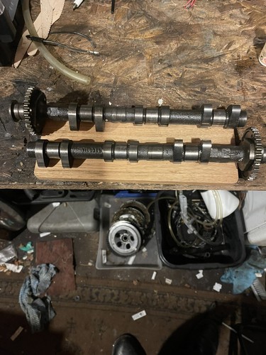 Triumph daytona 955i camshafts - daytona,