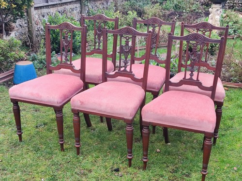 Edwardian chairs 6 - edwardian, chairs,