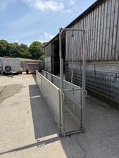 IAE sheep race (no drafting gate) excellent condition