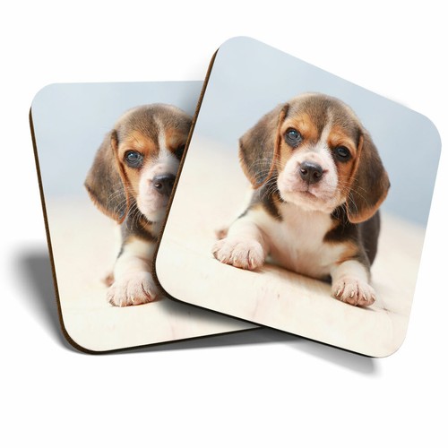 Coasters tiny beagle - x,