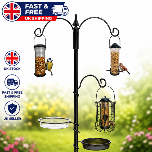 Garden wild bird feeding - garden,