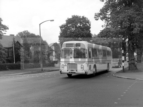 Large negative eastern - negative,