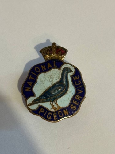 Rere ww2 national pigeon - ww2,