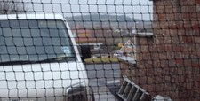 Bird stop 2 - stop, mesh