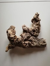 Lovely Piece of Aquarium Fish Tank Bogwood