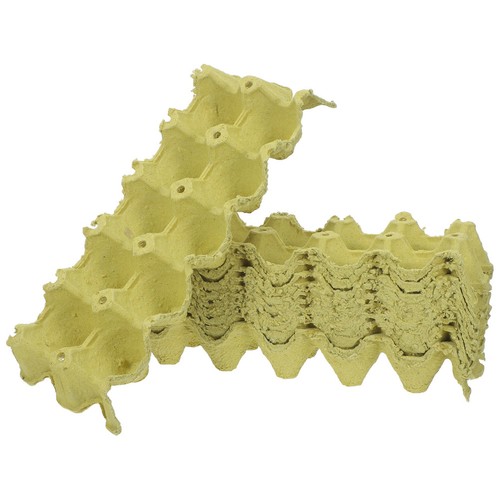 Pcs pulp fiber - pulp, egg