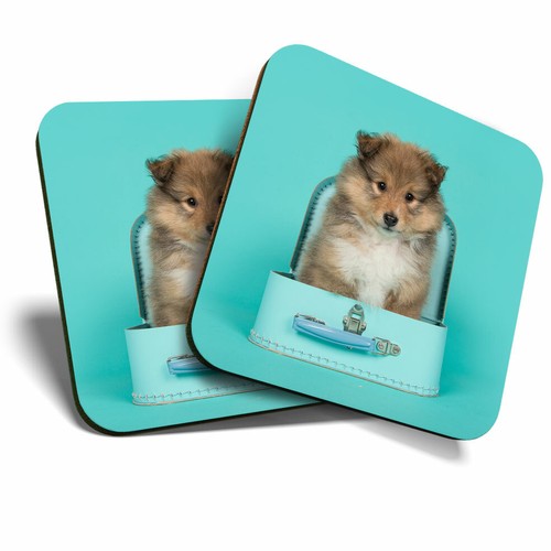 Coasters shetland - 2,