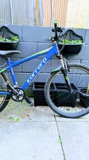 Carrera Valour Mountain Bike