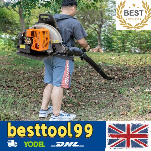 Petrol backpack leaf - backpack,