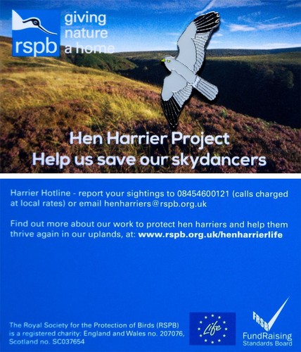 Rspb pin badge special gnah - pin,