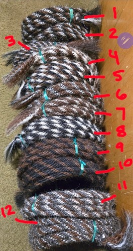 Mane horse hair - mane,