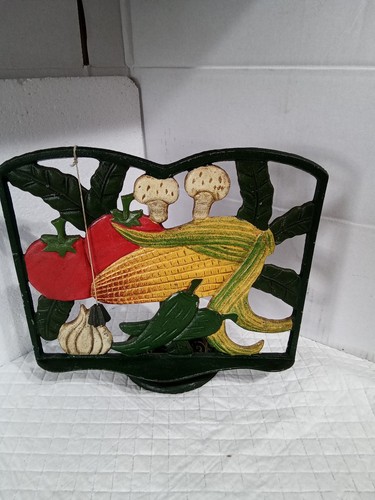 Rustic cast iron cook book - iron,