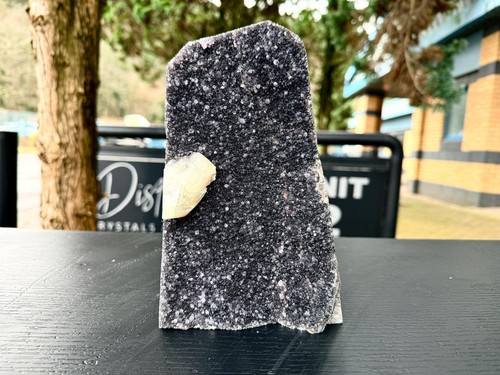 Extra large natural black - extra,