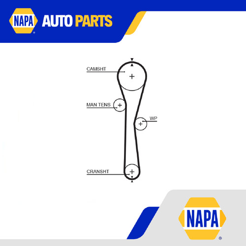 Timing belt fits - timing,
