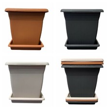 Square plant pots and saucers - plant,