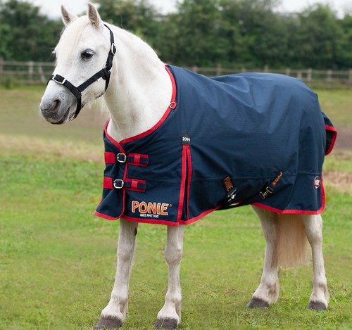 Gallop ponie 200g - ponie,