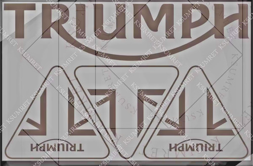 Triumph fuel tank fairing - fuel,