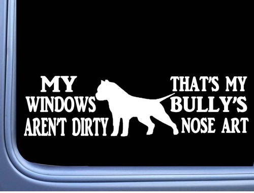 American bully sticker nose - sticker,