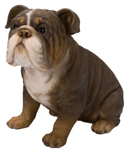 Vivid arts tricolour bulldog - arts,