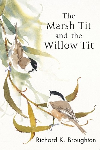 The marsh tit and - tit, willow