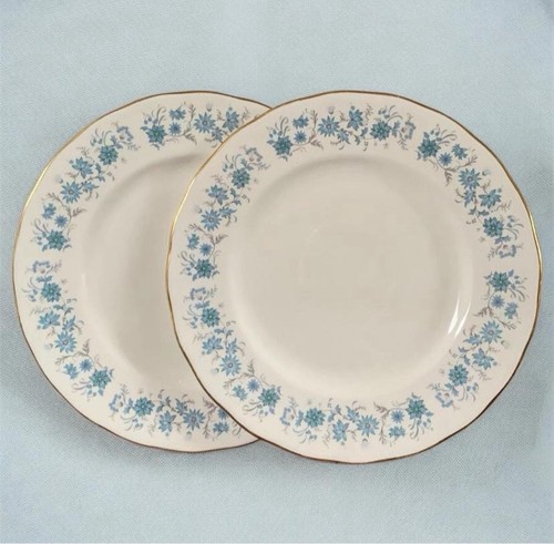 Dinner plates colclough - 2,