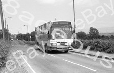 Bus Negative & Copyright