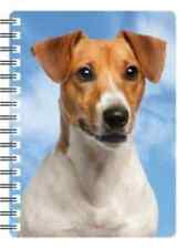 Jack Russell  3D image on a
